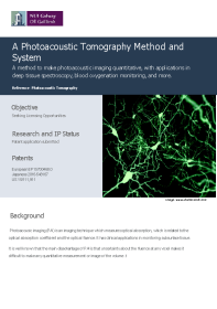 A Photoacoustic Imaging System and Method front page preview
                    