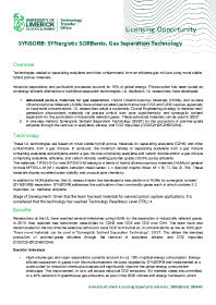 SYNSORB: SYNergistic SORBents. A Gas Separation Technology  front page preview
                    